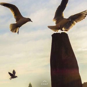 Meet your Posher, Mary